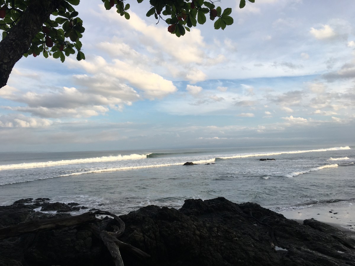 LAST ADVENTURE WITH&nbsp;DORY